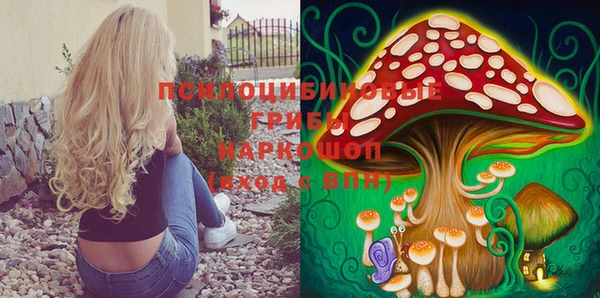 герыч Балахна