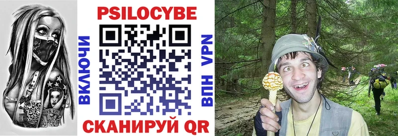 Галлюциногенные грибы мицелий  OMG рабочий сайт  Конаково 